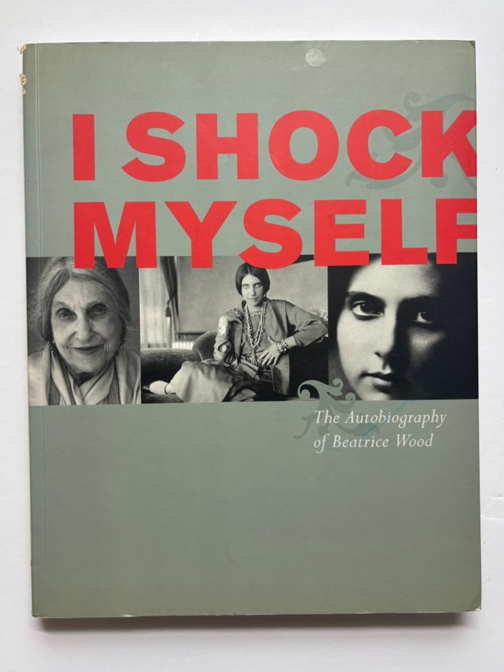 I Shock Myself: The Autobiography of Beatrice Wood
